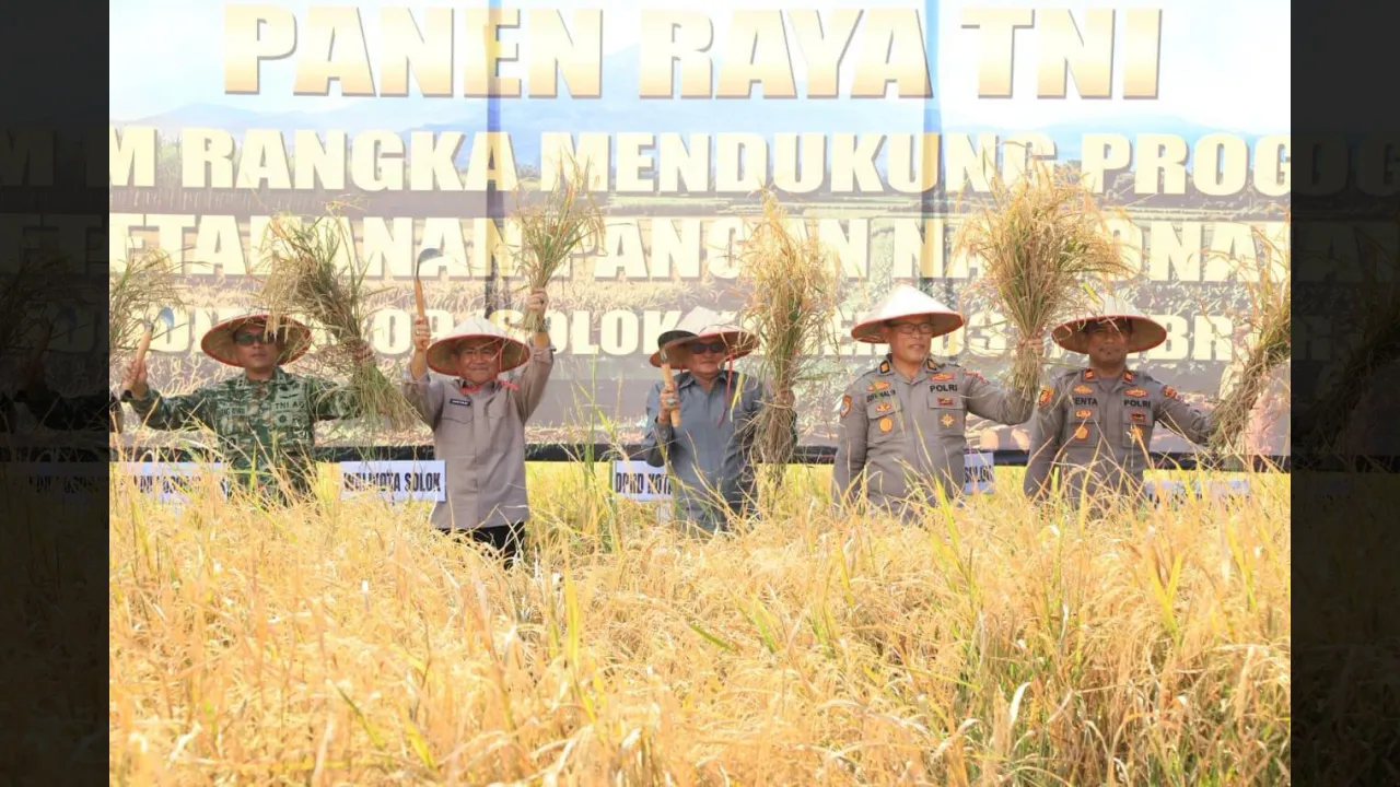 Semarak panen raya di Sawah Solok